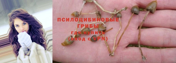 амфетамин Дмитриев