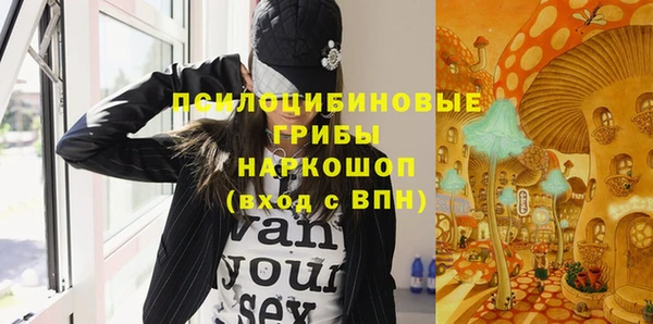 альфа пвп Дмитровск