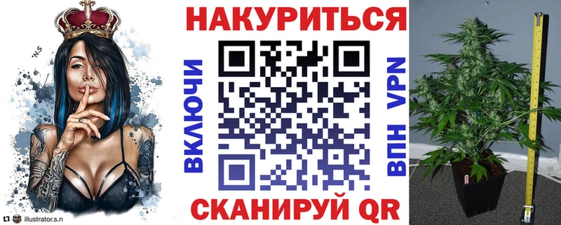 Бошки Шишки планчик Мценск